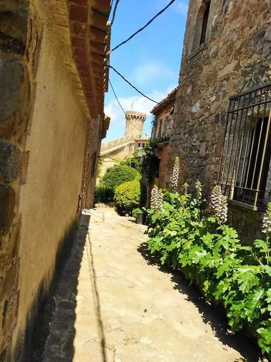 Hotel San Jordi Tossa De Mar Maison d'hôtes
