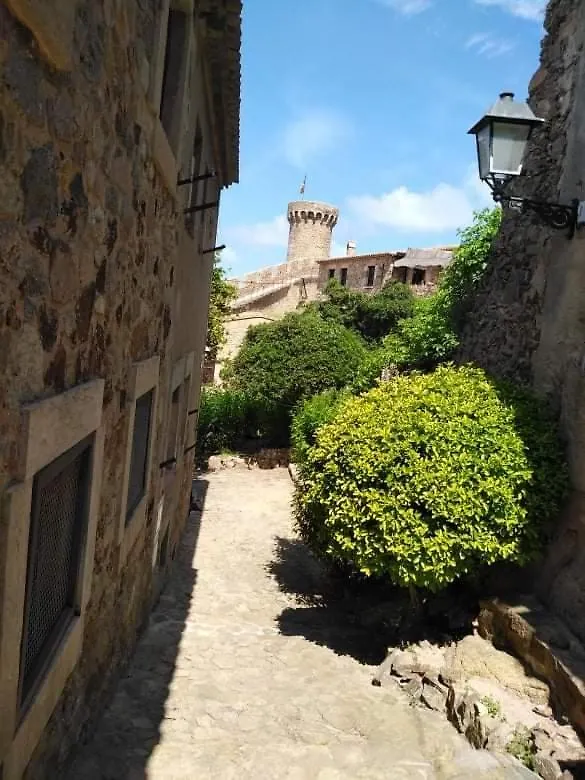 Guest house San Jordi Tossa De Mar Hotel